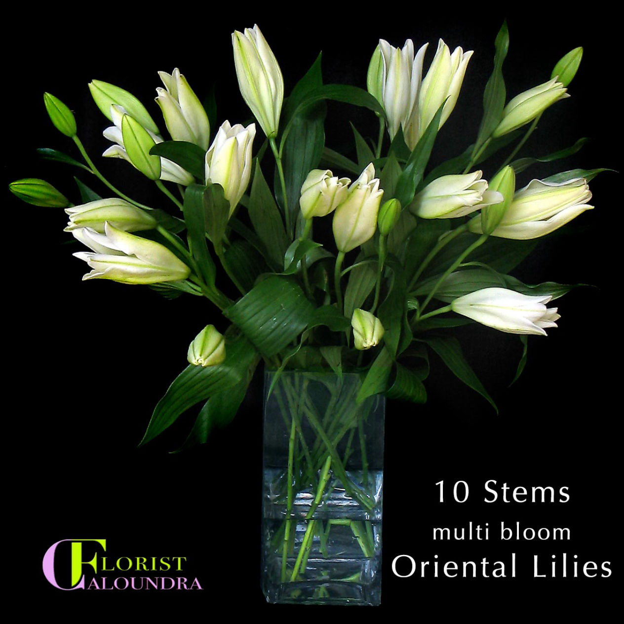 ORIENTAL LILIES