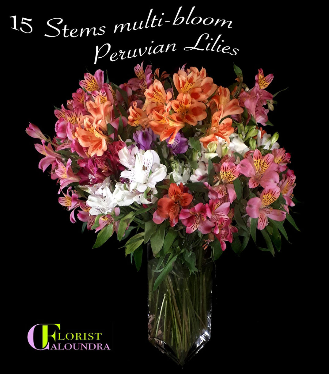 PERUVIAN LILIES CALOUNDRA FLORIST