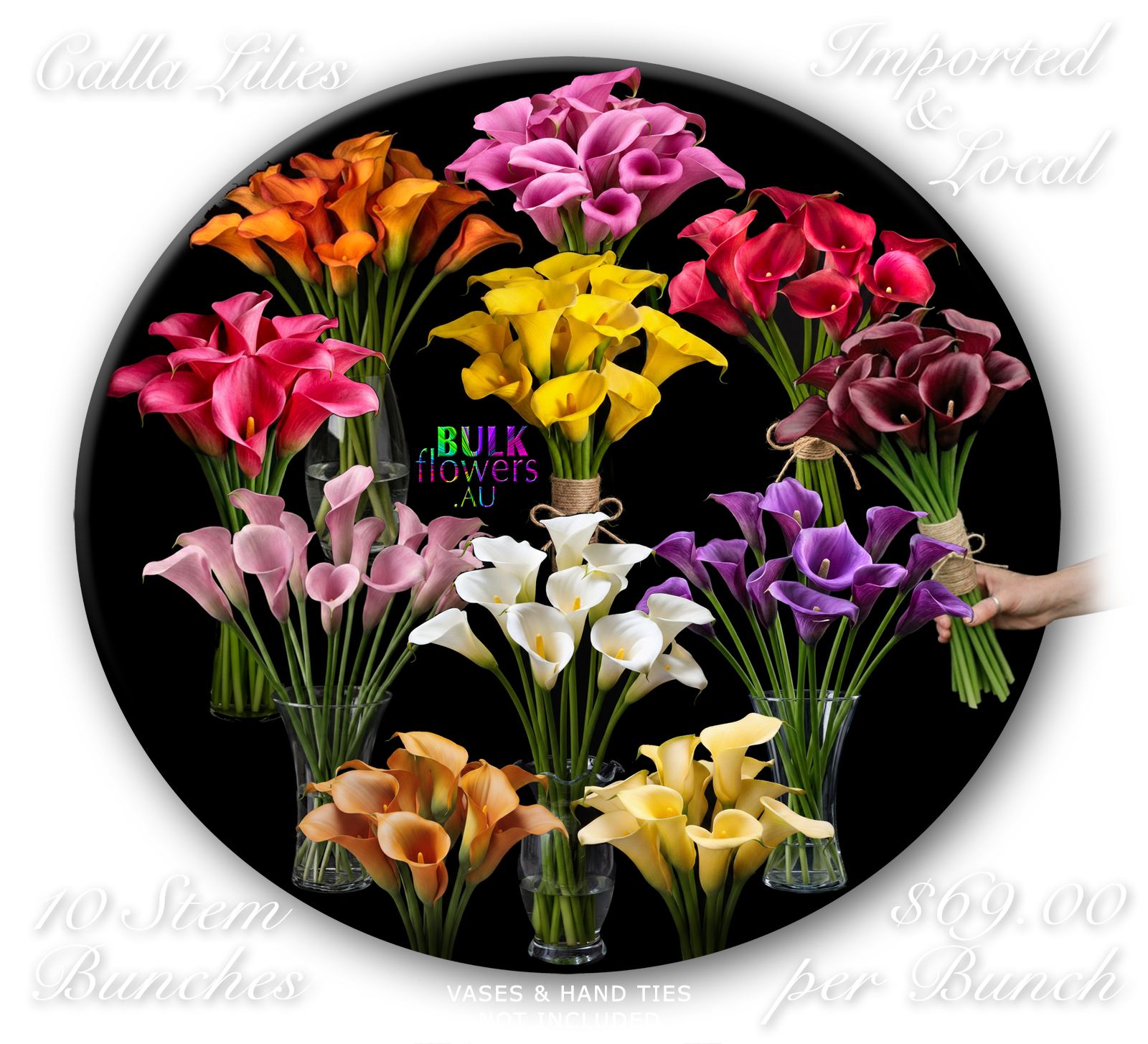 CALLA LILIES 